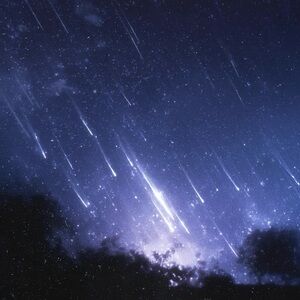 Meet your Posher, Joey